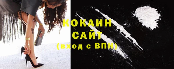 стаф Алзамай