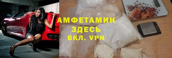 стаф Алзамай
