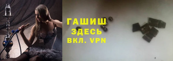 стаф Алзамай