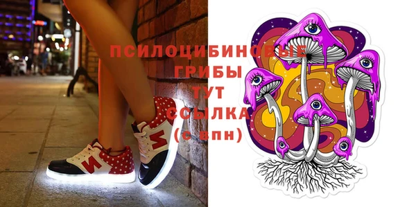 ГАЛЛЮЦИНОГЕННЫЕ ГРИБЫ Алексеевка
