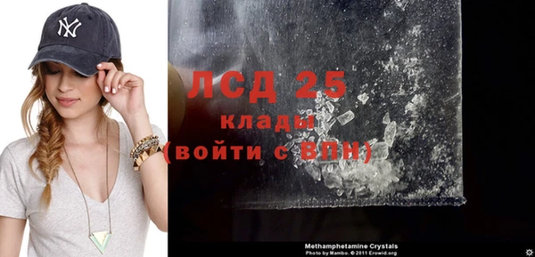 стаф Алзамай