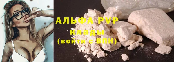 стаф Алзамай