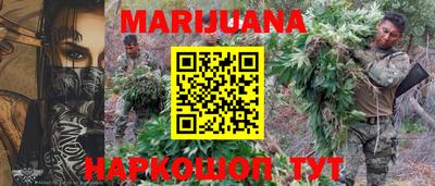 МДПВ Дубна
