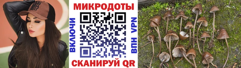 нарко площадка клад  Майский  Псилоцибиновые грибы прущие грибы  hydra ссылки 