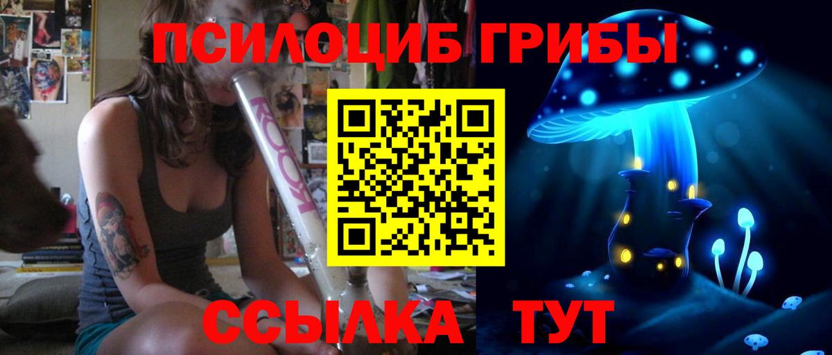 Майский  Псилоцибиновые грибы Cubensis  Галлюциногенные грибы Cubensis  Вход с VPN 